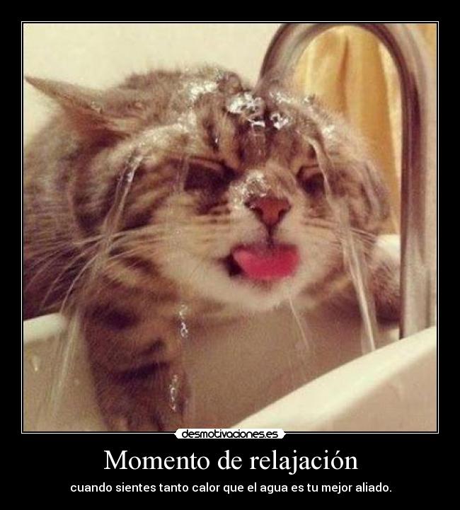 Momento de relajación - cuando sientes tanto calor que el agua es tu mejor aliado.