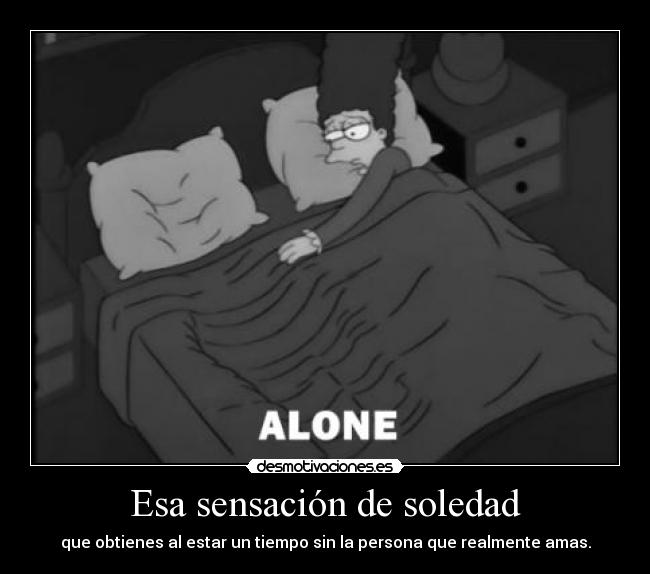 carteles soledad guaylap simpsons desmotivaciones