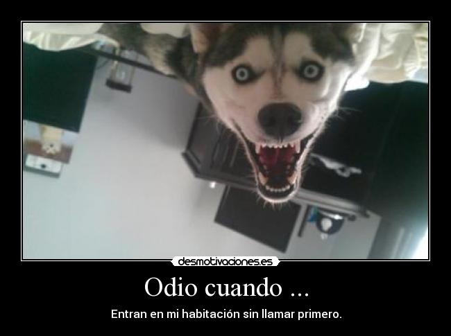 Odio cuando ... - Entran en mi habitación sin llamar primero.