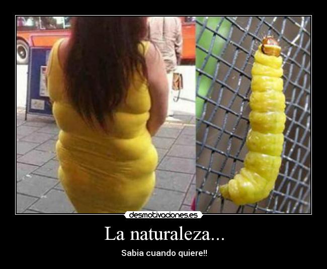 La naturaleza... - 
