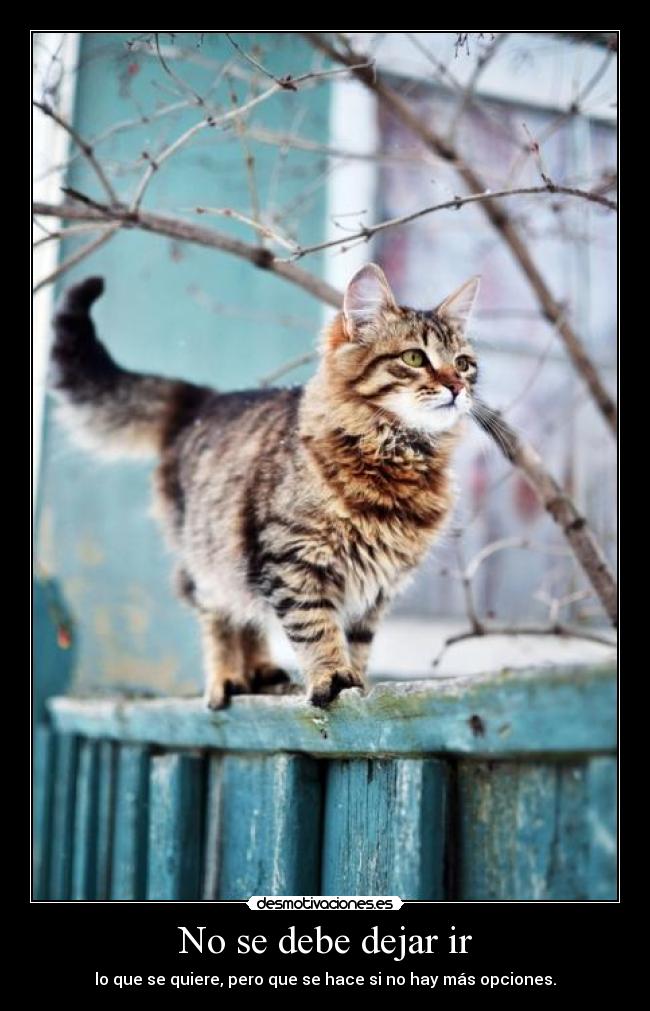 No se debe dejar ir -