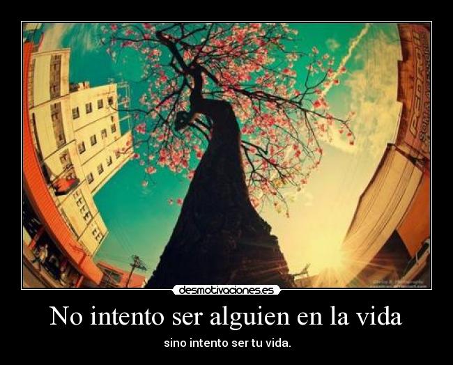 carteles vida love tree cool fotografo ojodepez desmotivaciones