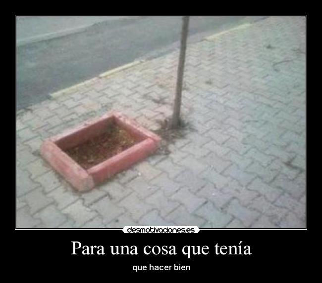 Para una cosa que tenía -