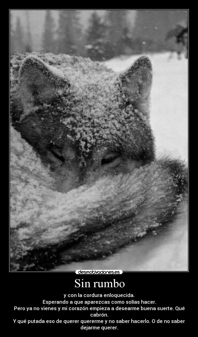 Sin rumbo - y con la cordura enloquecida.
Esperando a que aparezcas como solías hacer.
Pero ya no vienes y mi corazón empieza a desearme buena suerte. Qué
cabrón.
Y qué putada eso de querer quererme y no saber hacerlo. O de no saber
dejarme querer.
