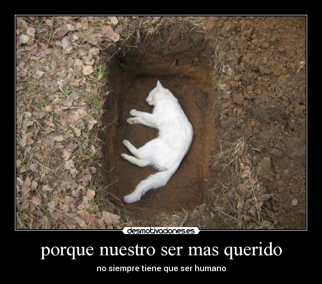 porque nuestro ser mas querido -