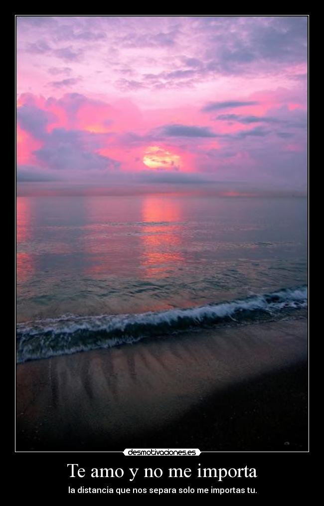 Te amo y no me importa - 