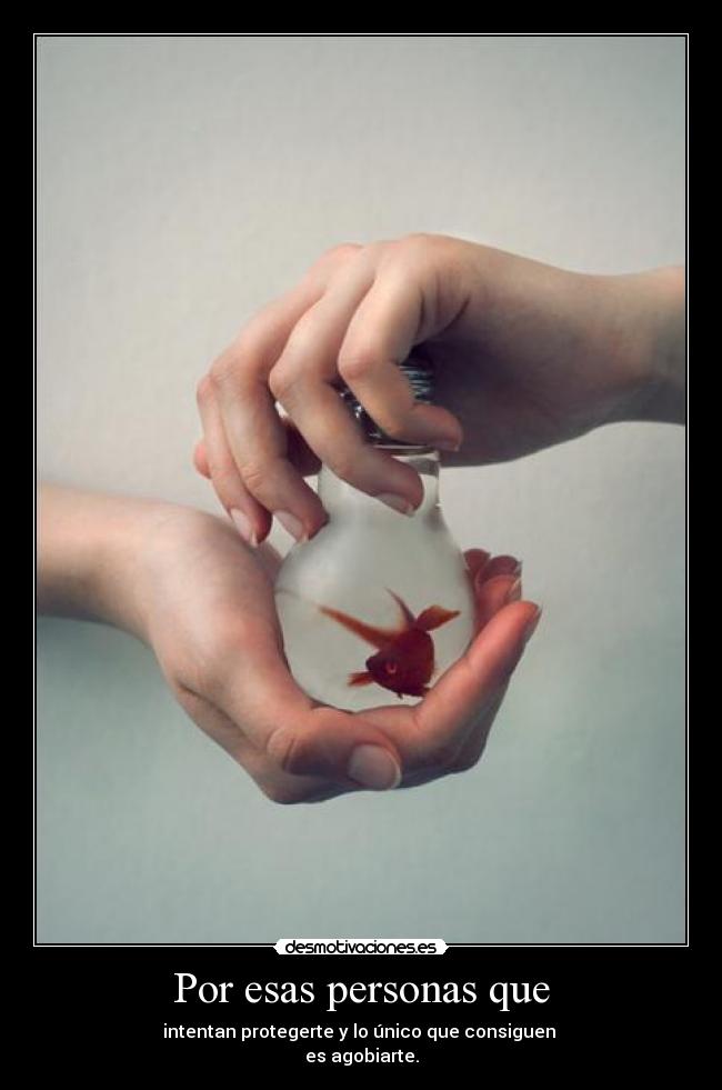 carteles mediometro pez que pariente felpi esta hasta los huvos transporten una bombilla desmotivaciones