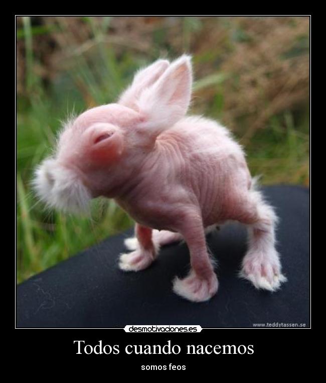 Todos cuando nacemos -