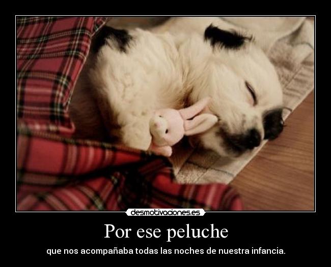 Por ese peluche - que nos acompañaba todas las noches de nuestra infancia.