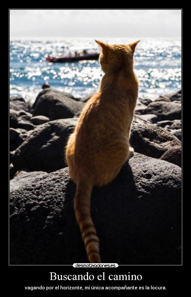 Buscando el camino -