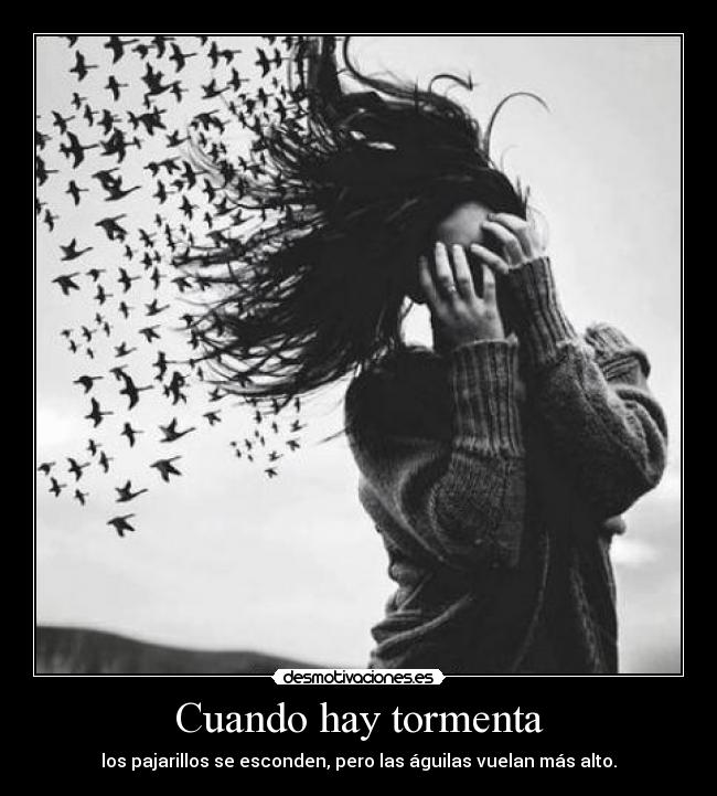 Cuando hay tormenta - 