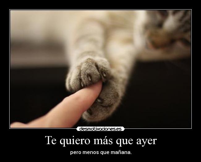 carteles cat desmotivaciones