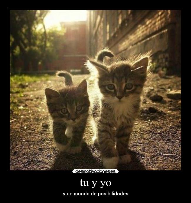 tu y yo -