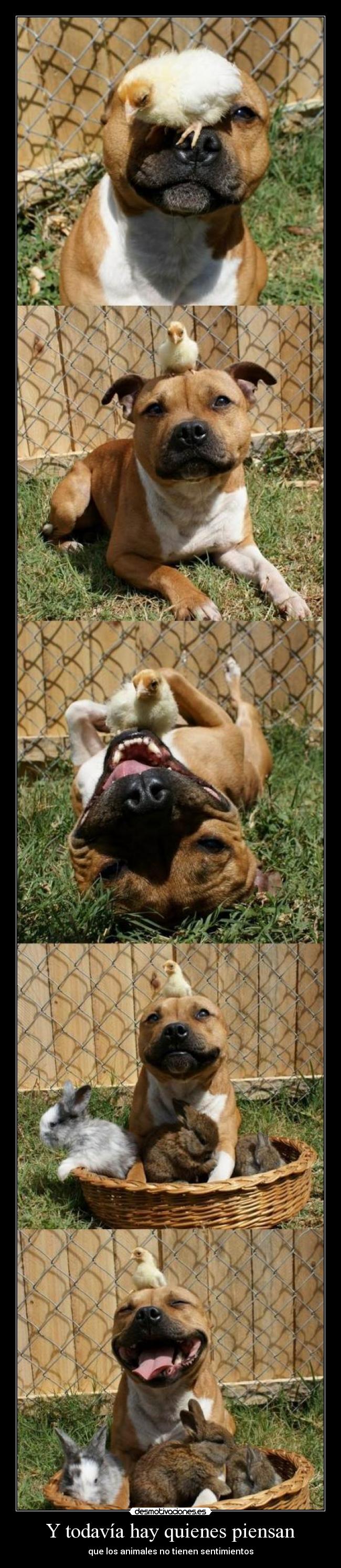 Y todavía hay quienes piensan - 