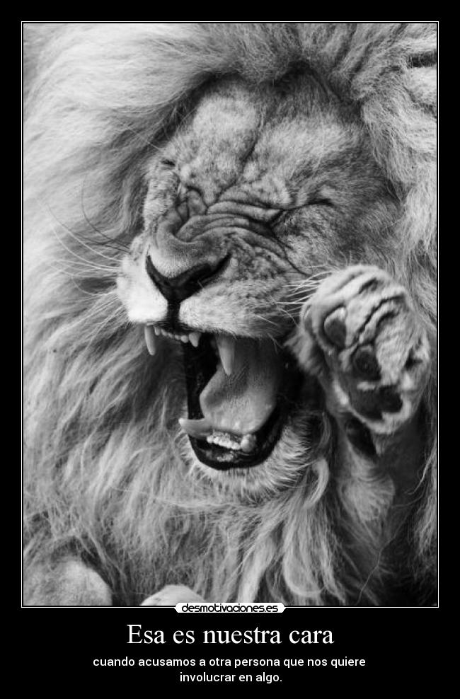 Esa es nuestra cara - 