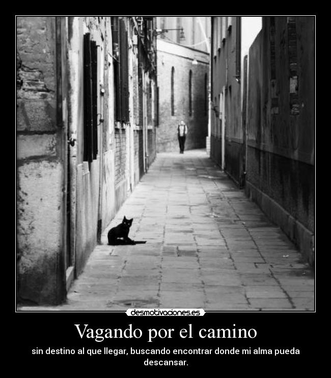 Vagando por el camino - 