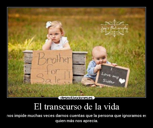 El transcurso de la vida - nos impide muchas veces darnos cuentas que la persona que ignoramos es
quien más nos aprecia.