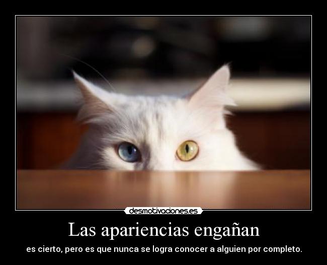 Las apariencias engañan -