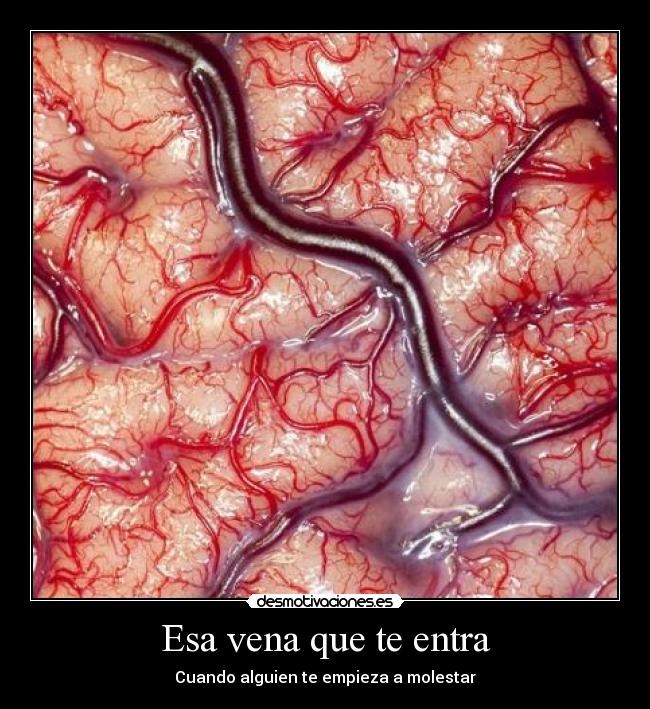 Esa vena que te entra - Cuando alguien te empieza a molestar