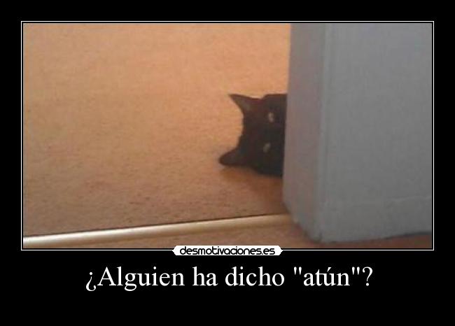 ¿Alguien ha dicho atún? - 