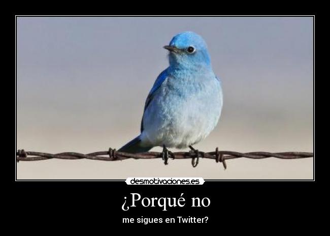 carteles vuelvo promocionarme partyhard sigueme twitter madafacker d107h3r0n3 desmotivaciones