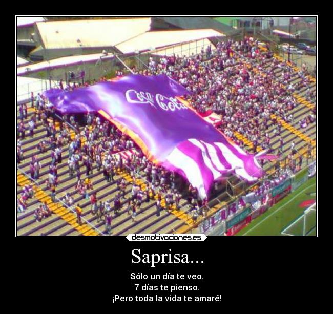 carteles sapridesmotivaciones desmotivaciones