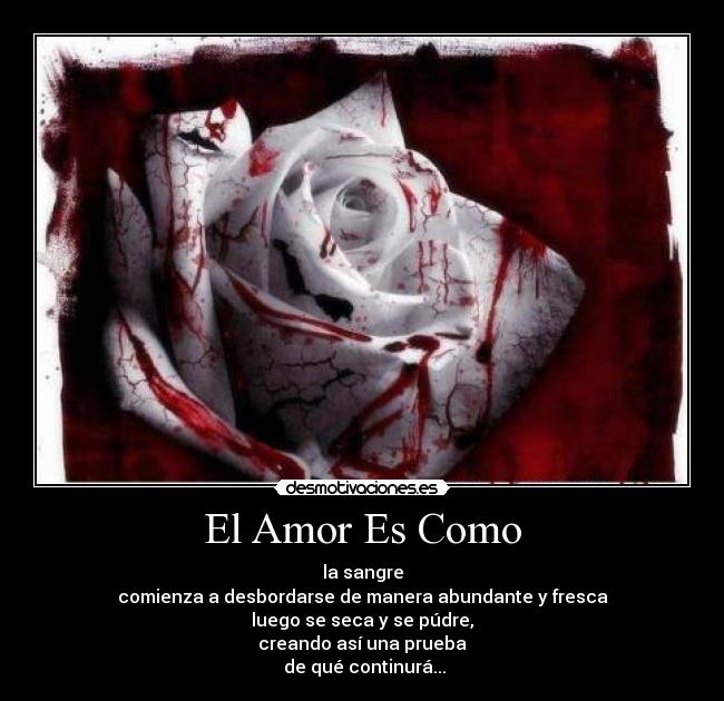 El Amor Es Como - la sangre
comienza a desbordarse de manera abundante y fresca
luego se seca y se púdre,
creando así una prueba
de qué continurá...