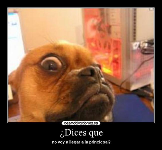¿Dices que -