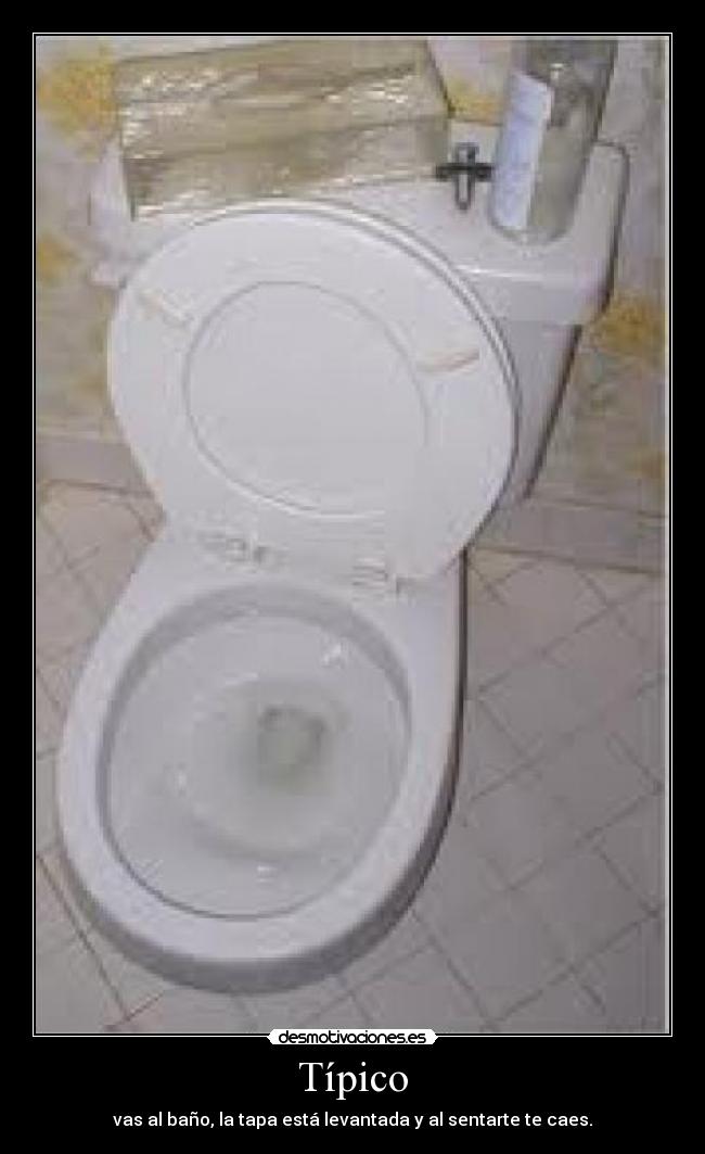 carteles tipico desmotivaciones