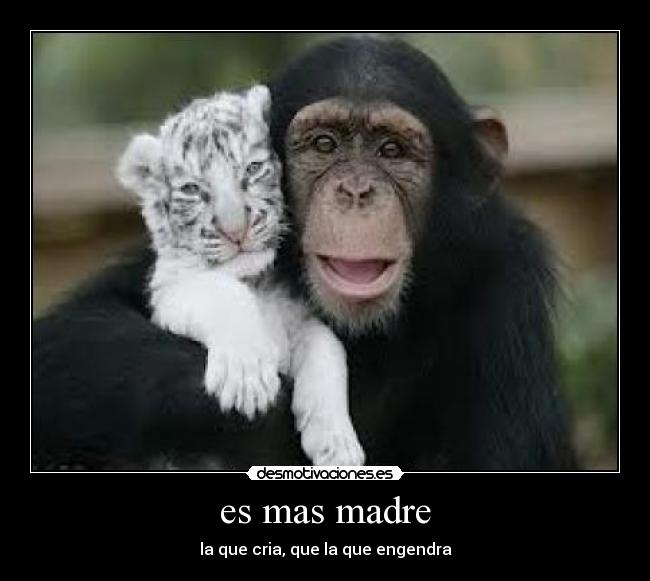 carteles madre todos desmotivaciones