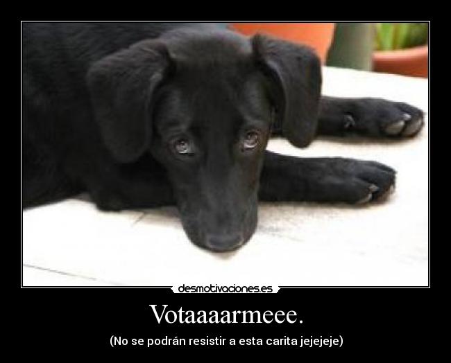 Votaaaarmeee. - (No se podrán resistir a esta carita jejejeje)