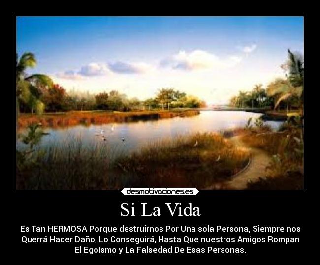 carteles vida vida desmotivaciones