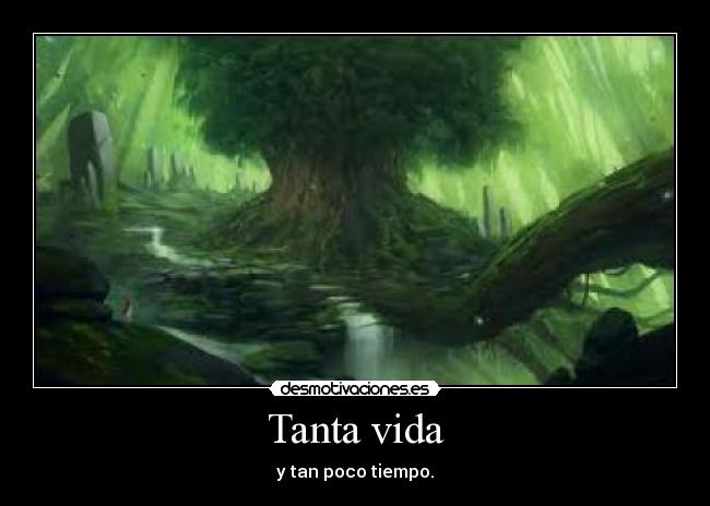 Tanta vida -