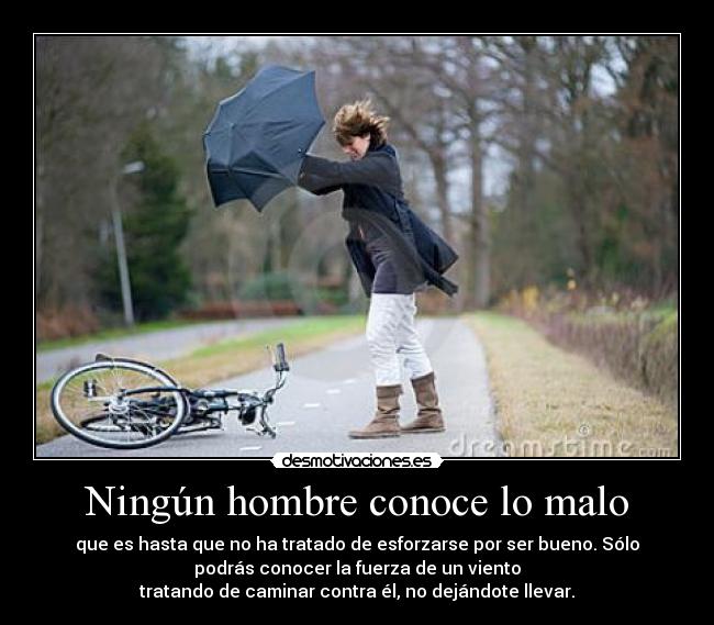 Ningún hombre conoce lo malo - que es hasta que no ha tratado de esforzarse por ser bueno. Sólo
podrás conocer la fuerza de un viento
tratando de caminar contra él, no dejándote llevar.