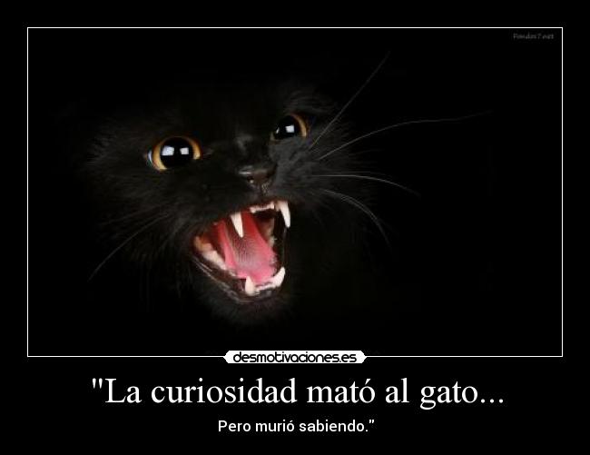 La curiosidad mató al gato... - 