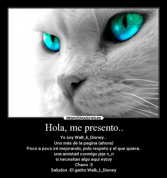 Hola, me presento.. -