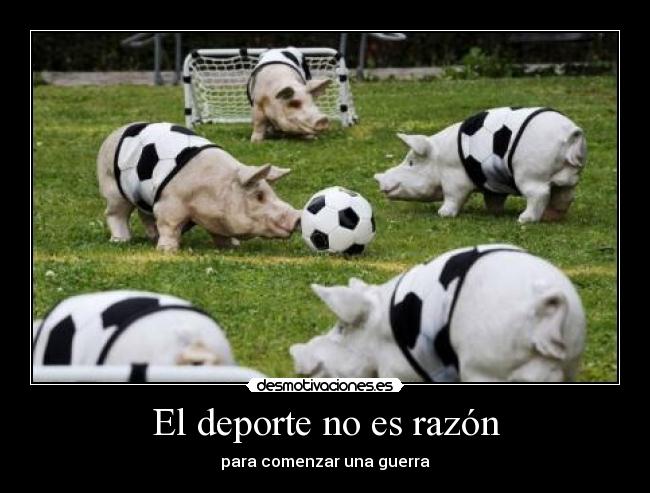 carteles eften cerdos antideportivos que aburren hasta partido mas hermoso desmotivaciones