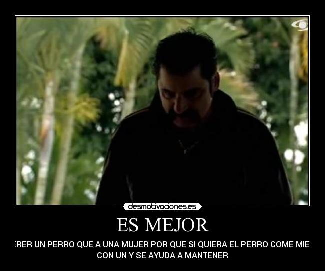 ES MEJOR - QUERER UN PERRO QUE A UNA MUJER POR QUE SI QUIERA EL PERRO COME MIERDA
CON UN Y SE AYUDA A MANTENER