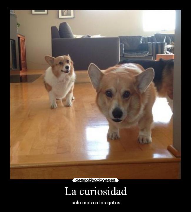 La curiosidad -