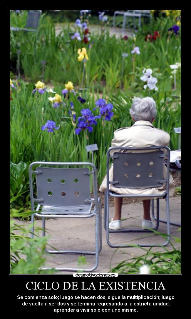 CICLO DE LA EXISTENCIA -