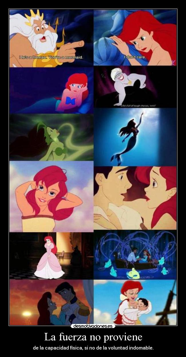 La fuerza no proviene - de la capacidad física, si no de la voluntad indomable.