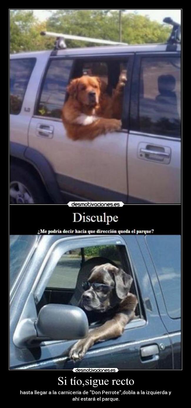 Si tío,sigue recto -