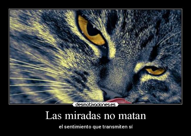 Las miradas no matan - 