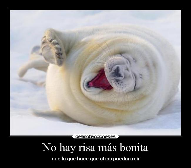 No hay risa más bonita - 