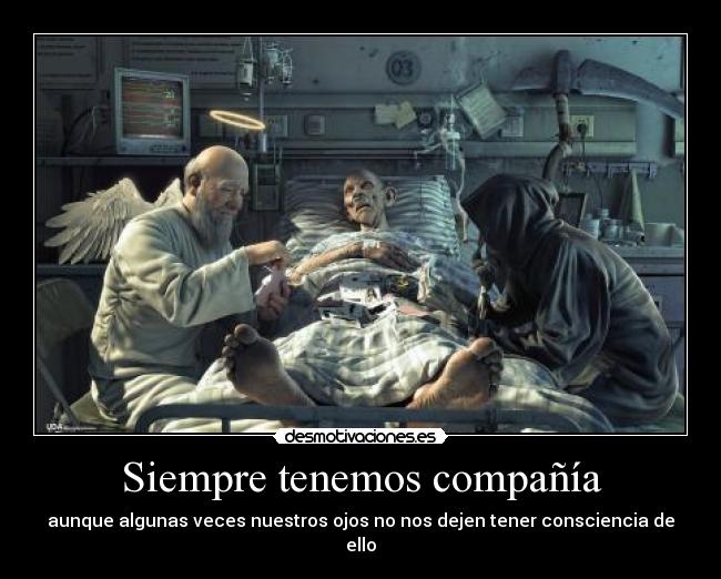 Siempre tenemos compañía -