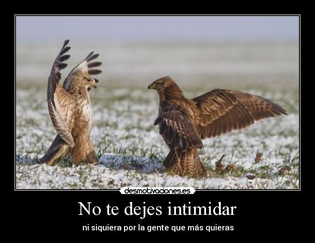 No te dejes intimidar - 