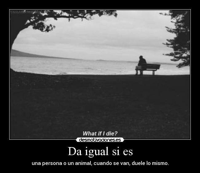 Da igual si es -