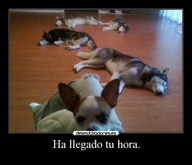 Ha llegado tu hora. -
