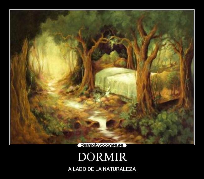 DORMIR - A LADO DE LA NATURALEZA