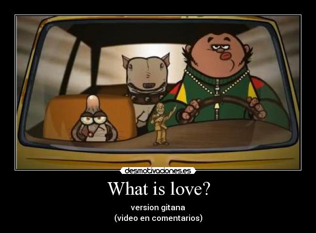 carteles what love version gitana calico electronico desmotivaciones